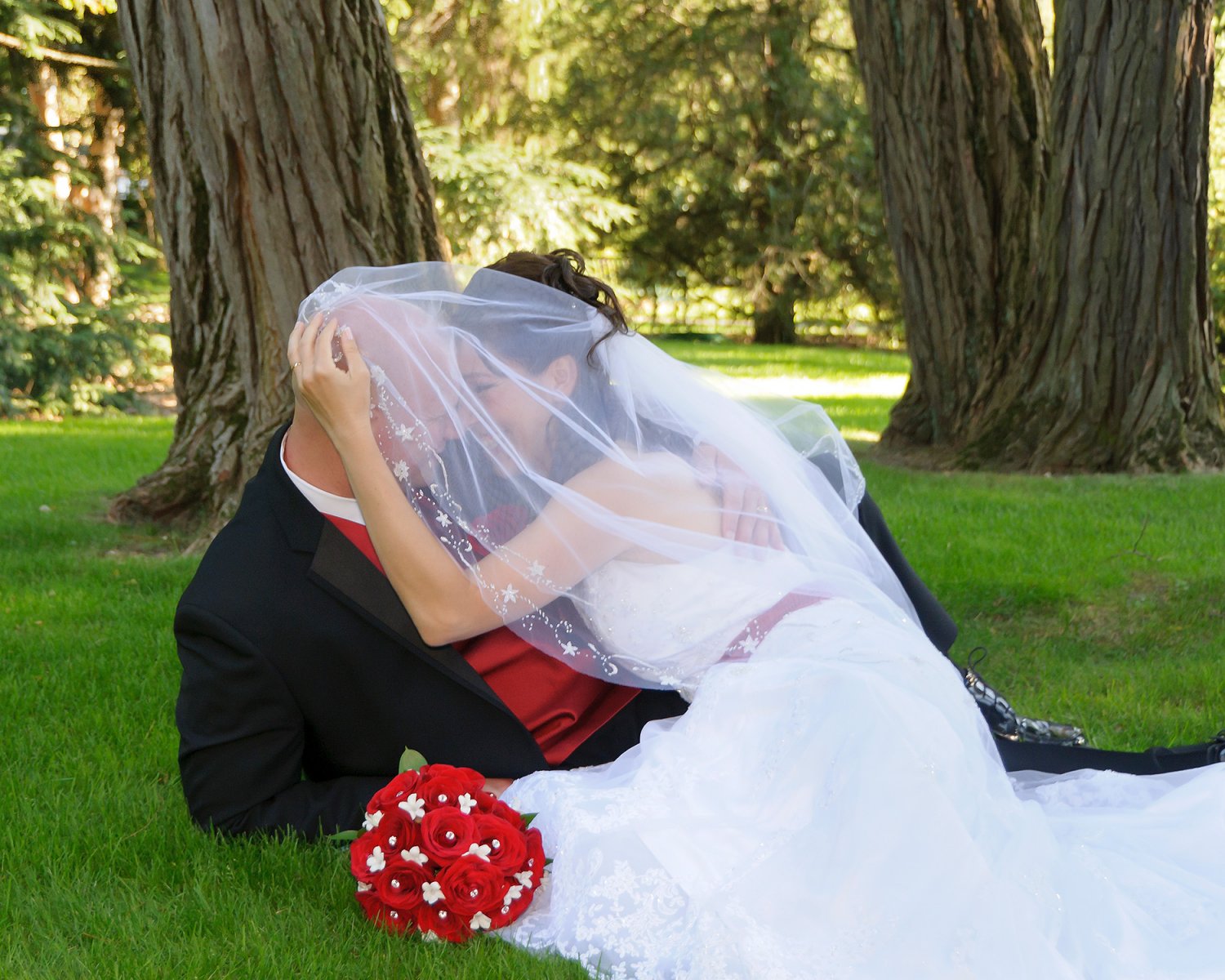 Why Hire a Pro Photographer for a Wedding wedding,